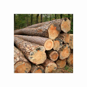 Troncos de Madera, Madera Aserrada en Bruto, Leña para Construcción y Procesamiento Artesanal, Madera para Muebles y Construcción, y Palés para Exportación - Product Image 6