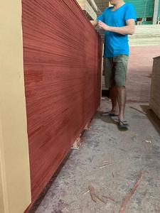 Tablero de Madera Contrachapada de Alta Calidad de 18 mm, Diseño Moderno Comercial, Núcleo de Madera Dura Bintangor/Okume/Pino, Revestimiento de Melamina, 1 Año de Garantía - Product Image 6