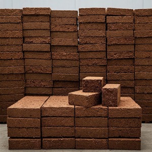 Blocco di Fibra di Cocco Premium di Alta Qualità 5 KG per Germinazione <span class=keywords><strong>Semi</strong></span>, Propagazione Piante, Miglioramento del Terreno, Giardinaggio Biologico - Product Image 6