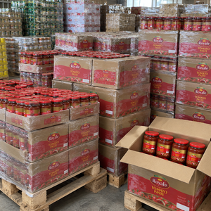 Pasta de tomate enlatada de calidad de exportación con color natural del tomate y sabor equilibrado, envasada para compradores y importadores de salsa a granel. - Product Image 1