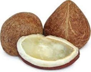 COPRA DE COCO SECA PREMIUM DE VIETNAM PARA MAYORISTAS Y DISTRIBUIDORES - Product Image 4