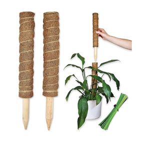 Estaca de Fibra de Coco de Calidad Premium para Proyectos de Paisajismo Interior de Alto Nivel y Suministros Decorativos para Plantas Trepadoras - Product Image 1