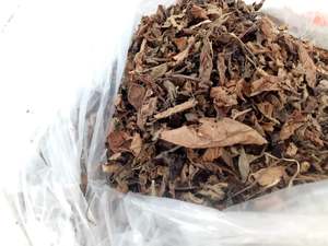 Hojas de Pasto Seco sin Azufre de Primera Calidad, Mesona Chinensis para el Mercado Europeo y Estadounidense - Product Image 2