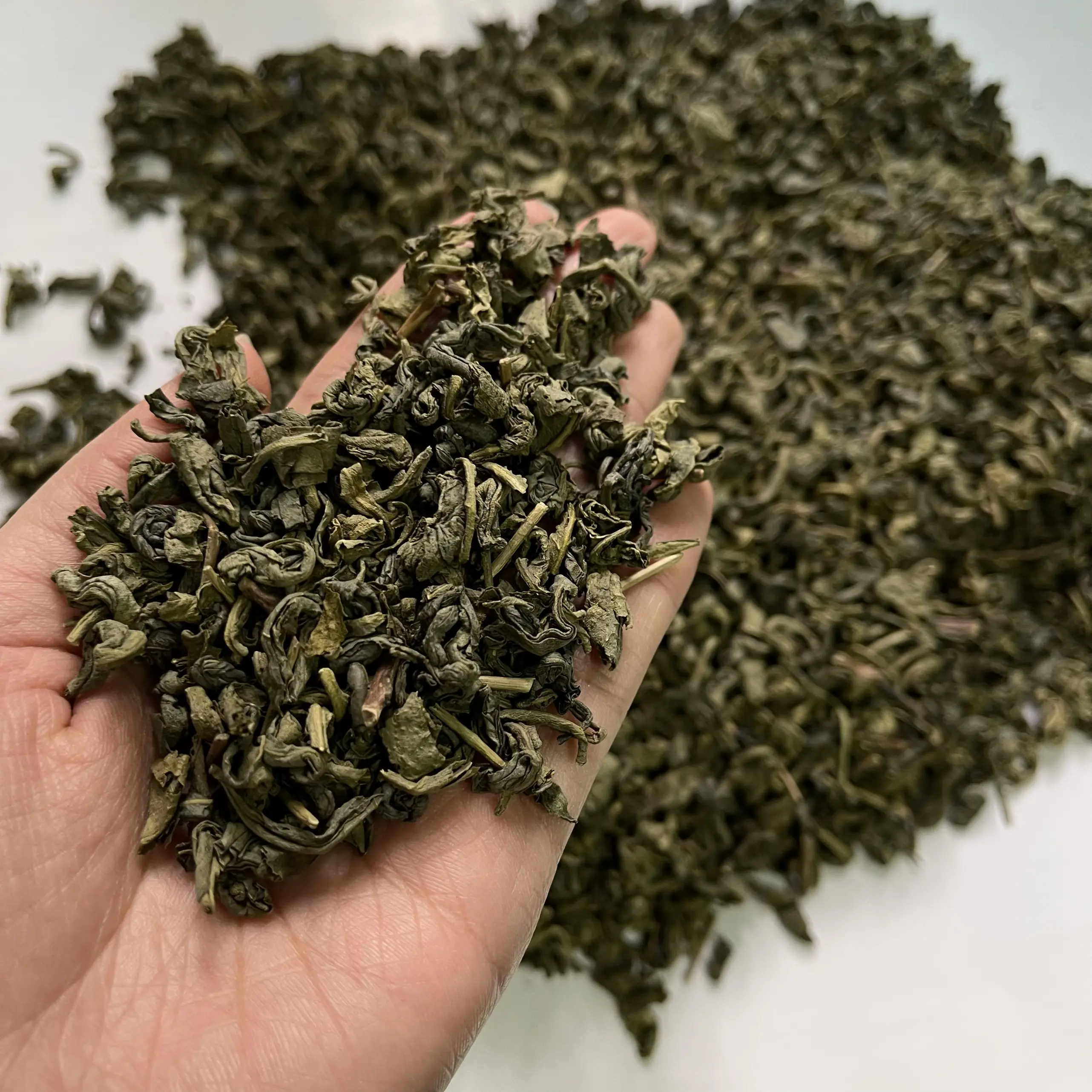 מכירה לוהטת pekoe ירוק תה סטנדרטי Vn יצרן wholesales pekoe הטוב ביותר באיכות תה