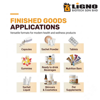 LiGNO AC07-Ex Extrait liquide d'Antrodia Camphorata de qualité alimentaire, complément oral, ingrédient actif, extrait complet de plante