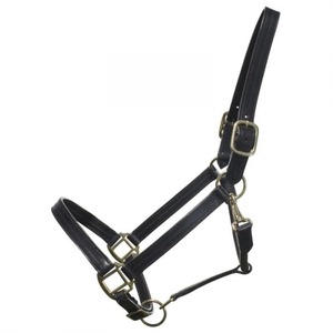 Premium Wholesale Popular Luxurious Elegant Perfect Adjustable Fashionable Padded Leather Horse <b>Halter</b> - Product Image 4