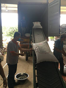 Pimienta Negra Seca Cruda, Especia Individual, 500GL, Calidad FAQ, Limpia a Máquina, Procedente de Vietnam, Baja Contaminación, VILACONIC - Sr. Justin - Product Image 5