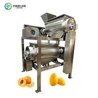 Stabiele prestatie fruit sap productiemachine milieuvriendelijke pasteurisatiemachine voor mangopulp