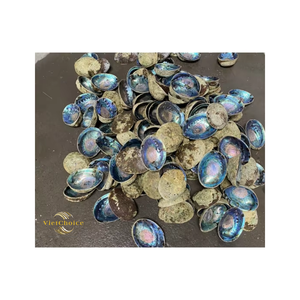 Wholesale Eco-Friendly Large Natural <b>Abalone</b> Seashells Angel Bowl 4-4.5 Inches VIETCHOICE Wedding Gift Directly Vietnam Phoebe - Product Image 2