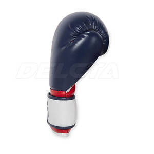 Nouveauté : Gants de boxe à prix réduit avec protection des poignets – Offre spéciale sur les gants de boxe - Product Image 2