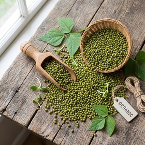 Mung Beans <b>Confectionery</b> Filling Ingredient Sweet Food Processing Pulses Bulk Supply Green Beans Export Grade Food Industry - Product Image 6