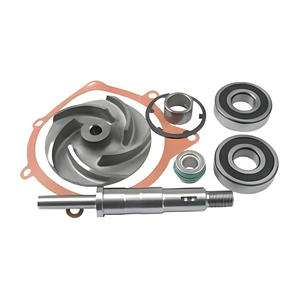 Kit de Reparación de Bomba de Agua 3641379M91 Compatible con Massey Ferguson MF 399 699, Piezas de Motor Perkins - Product Image 1