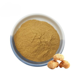 Alta calidad 100% Pure Organic Lions Mane Mushroom Powder Food Grade Bulk Hericium Erinaceus en polvo al mejor precio de la India - Product Image 1