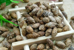 Fruit de Cocklebur séché en vrac pour fabricants – Cocklebur entier séché en vrac ANGLE - Product Image 4