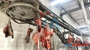 Cinta Transportadora ALIG, Transportador Aéreo para Plantas de Procesamiento de Carne de Oveja, Mataderos, Carnicerías - Product Image 2