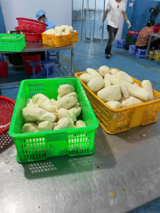 Dés de taro surgelés IQF du Vietnam, qualité supérieure, cubes de taro surgelés pour les usines alimentaires et l'usage industriel - Product Image 4