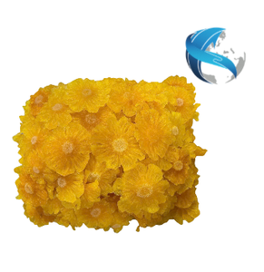 Vietnam Soft Dried Pineapple Top Grade Golden Yellow Slices Tropical Sweet Tangy <b>Chewy</b> Fruit Bulk Wholesale Export - Product Image 6