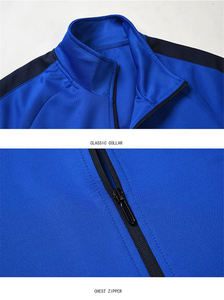 Conjunto deportivo de dos piezas con logotipo personalizado impreso, nuevo conjunto deportivo de lana de alta calidad para primavera, con rayas para hombre, traje de jogging. - Product Image 2