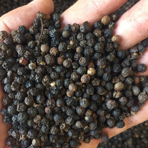 VILACONIC Vietnam Poivre Noir Entier Brut de Qualité Supérieure - Herbe Séchée Épicée - Pey - Product Image 2