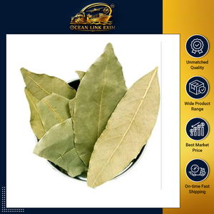 Feuilles de Laurier Séchées de Qualité Supérieure pour Mélanges d'Épices Culinaires et Amélioration de la Saveur - Product Image 2