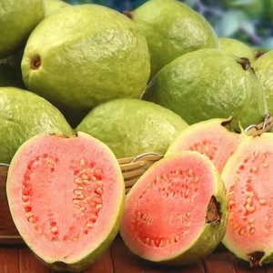 Rodajas de Guayaba Rosa del Atardecer del Río Mekong, Fruta Tropical Suave de Secado Lento - Product Image 1