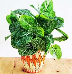 Jardinière en bois naturel faite à la main pour fleurs artificielles - Product Image 2