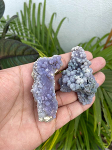 Ensemble de 2 cristaux d'agate de raisin |   Spécimens minéraux de calcédoine botryoïdale violette naturelle polie |   Paire de présentoirs pour collectionneurs - Product Image 1