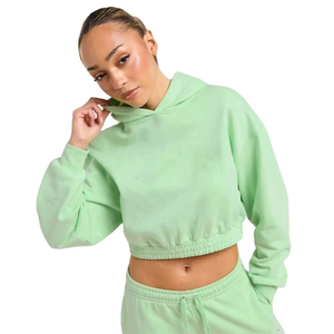 Ensemble de survêtement décontracté pour femme, hiver, en polaire épaisse, tissu premium, coupe ample, sweat à capuche court et pantalon, tenue chaude et tendance - Product Image 2