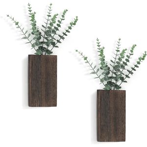 Set di 2 Vasi Intelligenti da Parete in Legno con Eucalipto Artificiale, Piante Finte Stile Rustico per Camera da Letto e Soggiorno - Product Image 1