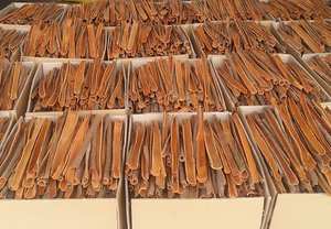 Canela Seca de Primera Calidad, Variedad Cassia, en Barra, Especias y Hierbas Individuales, Suministro a Granel de Fábrica de Exportación de Vietnam - Product Image 6