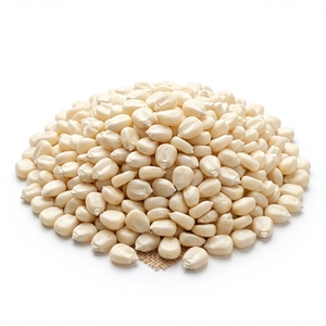 Brazilian White Corn Premium Quality White Maize Grain Non GMO Food Grade High Energy Fiber Rich Healthy Corn Bulk Wholesale - Product Image 6