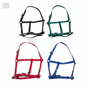 Cabestro de PVC duradero de alta calidad para equitación, brillante, con accesorios de acero inoxidable, precio bajo, venta al por mayor - Product Image 4