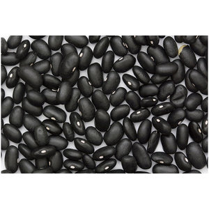 Frijoles Negros Oscuros, Frijoles Negros de Forma Larga en Venta al por Mayor, Frijoles Negros Secos - Product Image 2
