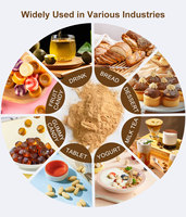 Monk Fruit Extract Mogroside V 50% Voedingskwaliteit HPLC Getest Bulk Ingrediënt voor Suikervrije Dranken en Zoetstofformulering