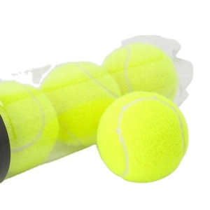 Pelotas de Pádel/Tenis para Entrenamiento de Cricket, Deportes al Aire Libre y Juegos de Playa, con Logotipo Personalizado, OEM 2026, Nuevo Modelo - Product Image 4