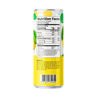 Jus de fruits naturels vitaminés OEM/ODM 250ml en canette mince, boisson au jus de citron, jus de fruits et légumes sous marque privée