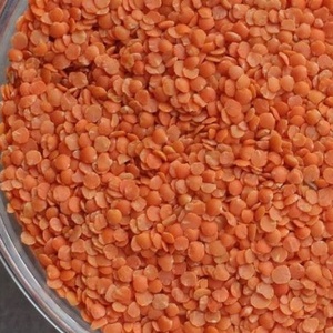 Lentejas Rojas Secas Seleccionadas con Cuidado, Empacadas en Bolsas Resistentes para Compradores Mayoristas Internacionales, Suministro de Alimentos Naturales Puros - Product Image 1