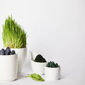 Poudre de spiruline indienne fraîche de saison pour les marchés mondiaux des importateurs de produits alimentaires végétaux et d'ingrédients superalimentaires - Product Image 2