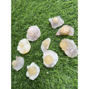 Cristaux de fluorite de qualité supérieure, petites éclats de pierre minérale naturelle pour la guérison par le Reiki et la vente en gros au meilleur prix - Product Image 6