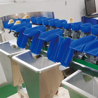 Automatische PLC-gebaseerde industriële sorteermachine voor citrusvruchten en groenten met multifunctionele gewichtsclassificatie