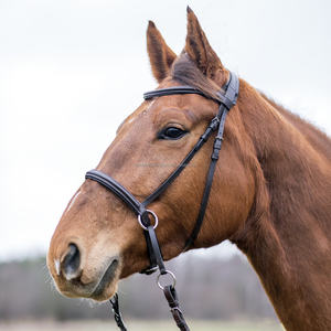 Bride équestre de course légère personnalisable Accessoires en cuir hanovriens islandais confortables pour l'équitation - Product Image 2