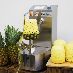 Éplucheur électrique automatique de petite table à haut rendement ananas melons citrouilles pomme fruits