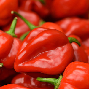 พริกฮาบาเนโรสีแดงคุณภาพสูง พริกแห้งบดละเอียด ปลอดภัย รสชาติเผ็ดร้อน - Product Image 1