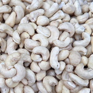 ซัพพลายเออร์เม็ดมะม่วงหิมพานต์ที่เชื่อถือได้จากเวียดนาม เม็ดมะม่วงหิมพานต์ออร์แกนิกเวียดนามแบบเต็มเม็ด W180 W240 เม็ดมะม่วงหิมพานต์ซานติโก ส่งออกไปยังเอเชีย ยุโรป และตะวันออกกลาง - Product Image 1