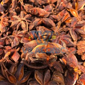 Anís estrellado kosher premium de Yen Bai, Vietnam |   Cosecha de Otoño-Primavera, 13.5% de Humedad |   Caja de Cartón de 7-10 kg |   Celeste VILACONIC - Product Image 4