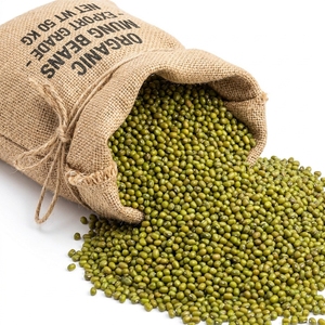 Haricots Mungo Séchés Sans Pierres, Nettoyés par Sortex, Qualité Export, Légumineuses Vertes, Approvisionnement en Vrac pour l'Industrie Agroalimentaire - Product Image 5