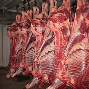 Carcasses de bœuf congelées sélectionnées offrant une qualité de viande constante et un stockage pratique pour les restaurants, les détaillants et les commerçants - Product Image 5
