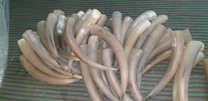 Cuerno Vikingo para Beber con Diseño Grabado, Cuerno Vikingo Grande para Beber con Soporte, Taza, Jarra, Venta Directa de Fábrica, Personalizado - Product Image 5