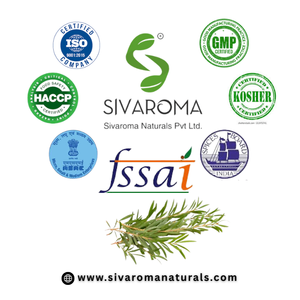 Aceite Esencial Puro de Árbol de Té en Paquete a Granel, Aceite Destilado al Vapor de Primera Calidad, Certificado ISO/GMP, 3 Años de Duración, para Todo Tipo de Piel - Product Image 6