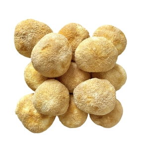 Champignons <span class=keywords><strong>de</strong></span> crinière <span class=keywords><strong>de</strong></span> <span class=keywords><strong>lion</strong></span> séchés <span class=keywords><strong>de</strong></span> couleur jaune clair, 5 à 8 cm - Product Image 1